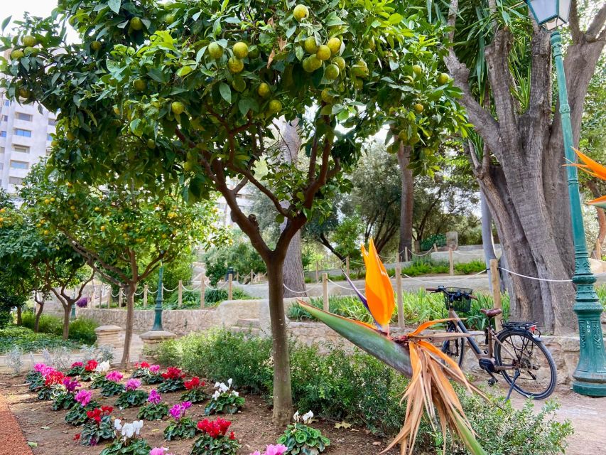 Valencia: 2-in-1 Biking and Walking Audio-Guided Route - What you actually get for $29 per group, and what you must add