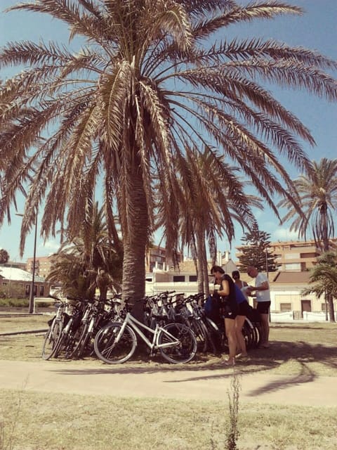 Valencia: 3-Hour City Bike Tour - What I like about the guide experience, especially in English
