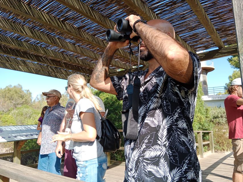 Valencia: Albufera Jeep and Boat Tour - What to Know Before You Go: Licenses, Manuals, and Open-Roof Reality
