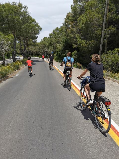 Valencia: Albufera Natural Park Bike and Boat Tour - The 13:15 Albuferenc Electric Boat Ride: Birds, Rice Irrigation, and a Real Guide