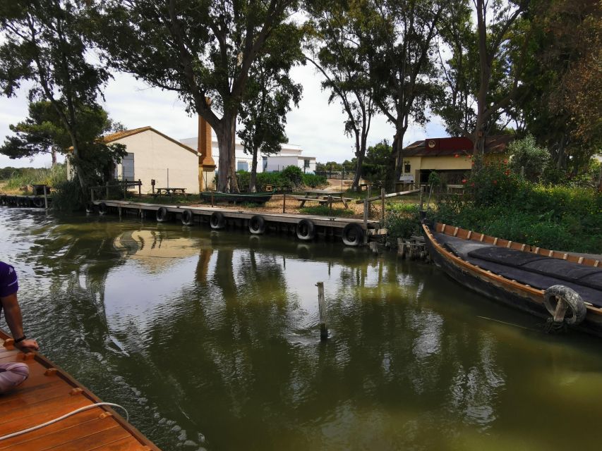 Valencia: Albufera Natural Park Bike and Boat Tour - What You’ll See on Return Day: Pine, Sea Views, and Valencia’s City Horizon