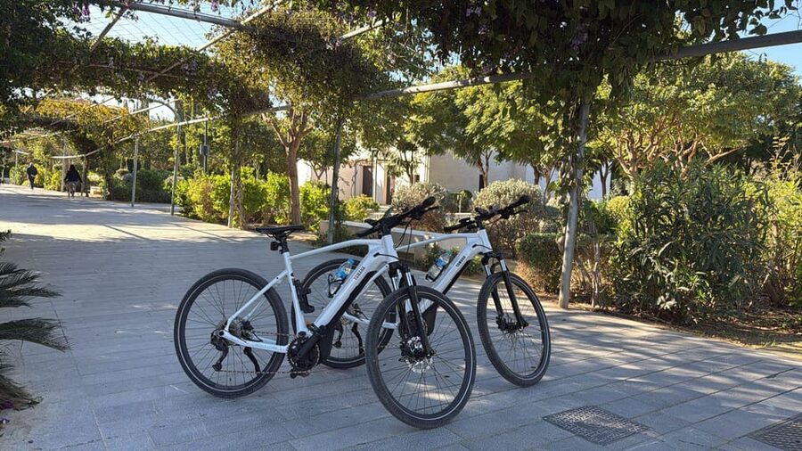 Valencia all in one: beaches, old town & city arts by E-bike - Key Reasons This Valencia E-Bike Tour Is Worth Your Time