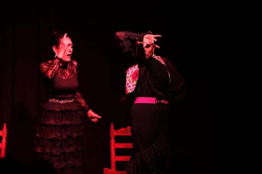 Valencia: Authentic Flamenco Show Entry Ticket - Getting In and Finding Your Seats Without Stress