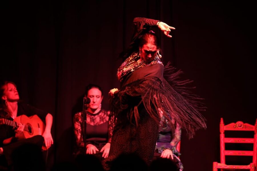 Valencia: Authentic Flamenco Show Entry Ticket - The Flamenco Show in 60 Minutes: Guitar, Vocals, and Footwork With Heart