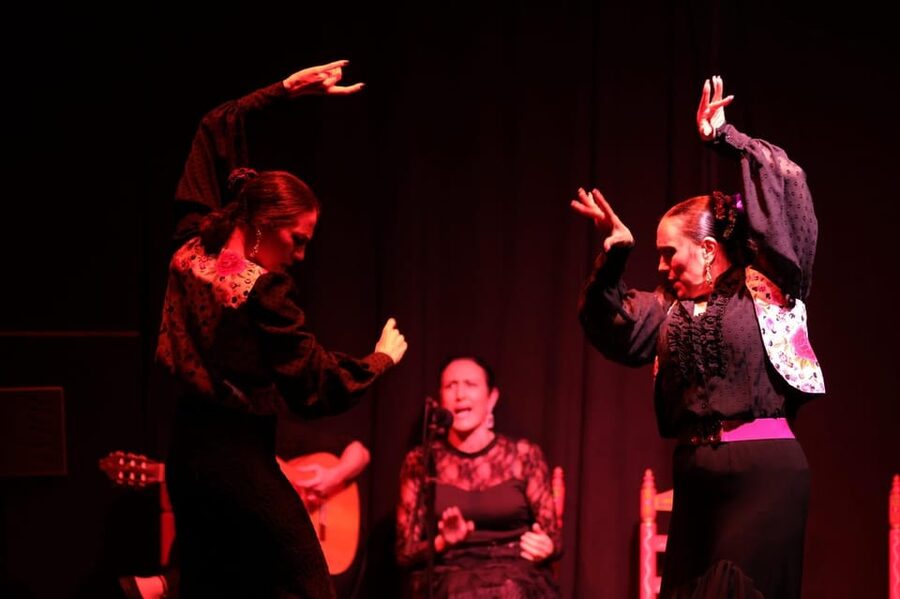 Valencia: Authentic Flamenco Show Entry Ticket - Price and Value: Why $23 Can Be a Smart Use of One Night