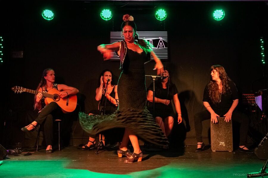 Valencia: Authentic Flamenco Show Entry Ticket - The Theater at Ca Revolta: Small Room, Big Focus