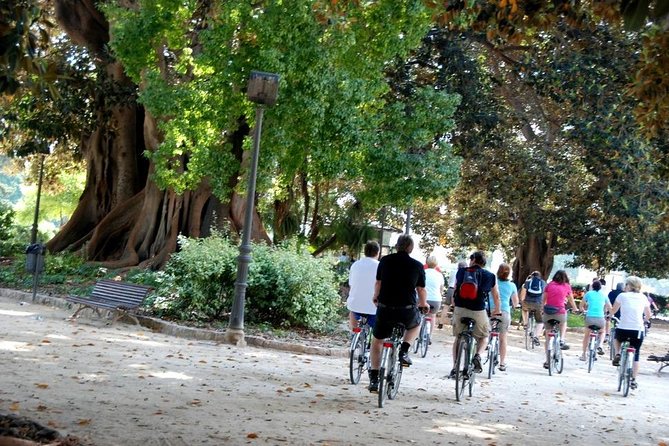Valencia Bike or Segway Tour - Sports, architecture, and the Calatrava bridge moment
