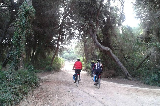 Valencia Bike or Segway Tour - Jardín del Turia: Valencia’s old riverbed turned park