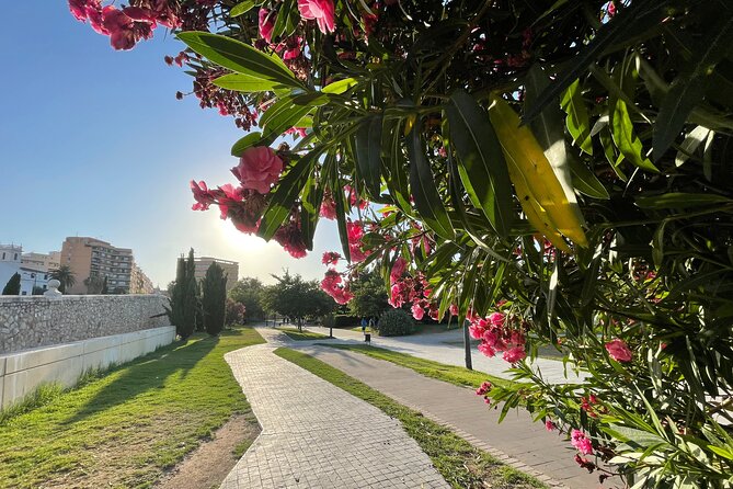 Valencia Bike Tour: Top Sights and City of Arts & Sciences - Museo del Corpus Casa de las Rocas: a free entrance with 14th-century carriage craft