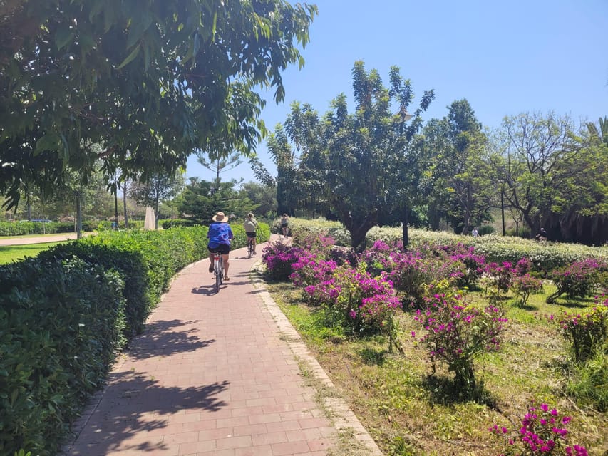 Valencia, Biketour of all the city with a local guide - Why Valencia feels different from a bike (and with a real local)