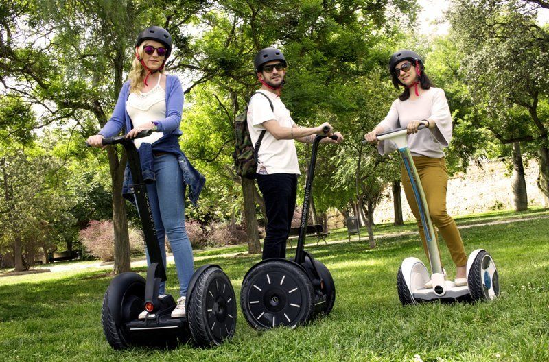 Valencia: Cabecera Park and Bioparc Segway Tour - Getting ready: training, helmets, and confidence fast