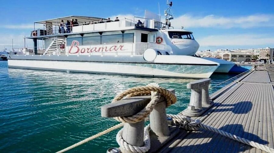 Valencia: Catamaran Cruise with Stop for Swimming - Key Highlights Worth Booking For