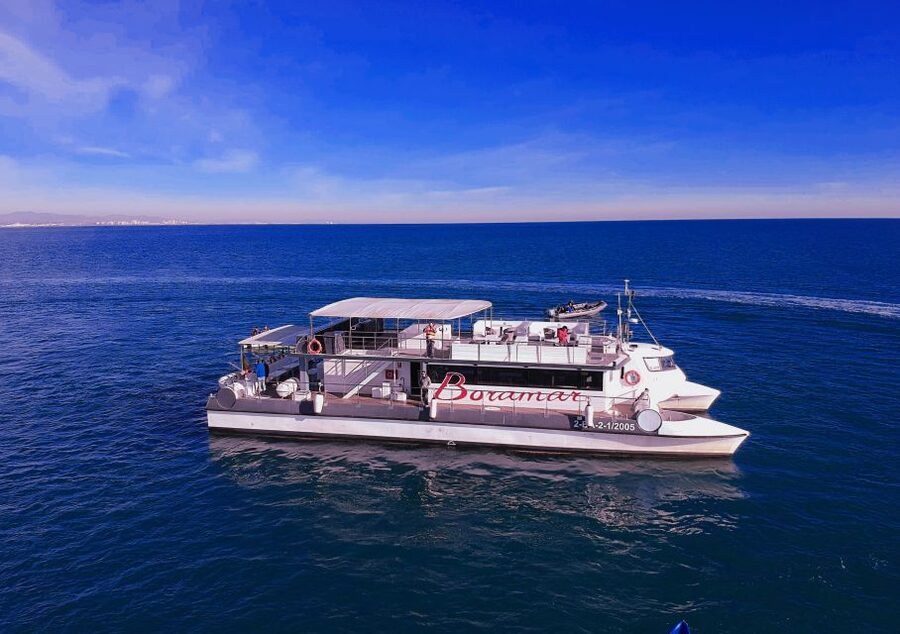Valencia: Catamaran Cruise with Stop for Swimming - Your 1.5-Hour Game Plan, What Happens On the Water