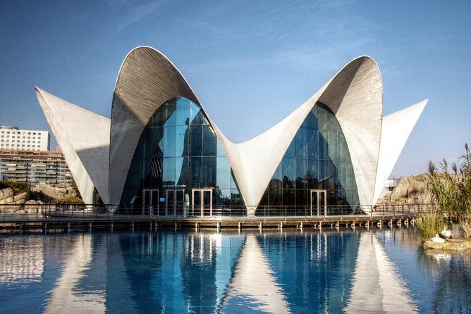 Valencia City Excursion - From Albir, Benidorm & Calpe - Estadi de Mestalla: the football stadium add-on for the real fans