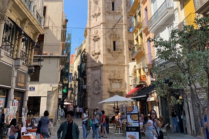 Valencia City Excursion - From Albir, Benidorm & Calpe - Guides, drivers, and what a well-run day feels like