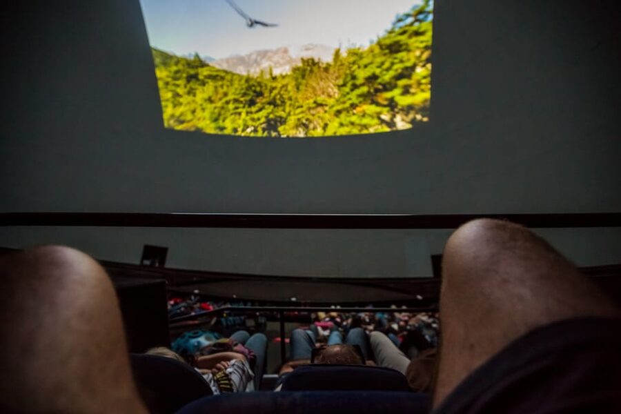 Valencia: City of Arts and Science 3D Movie at Hemisfèric - Who should book this, and who might not love it