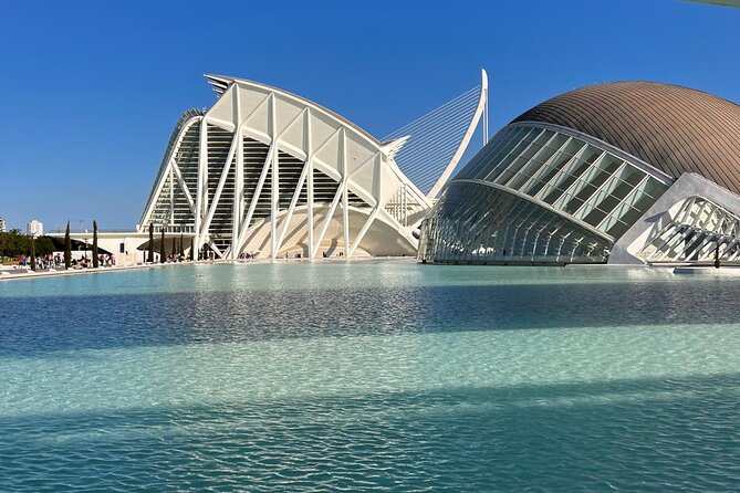 Valencia: City of Arts and Sciences Private Walking Tour - Guides, style, and the kind of explanations that make it click