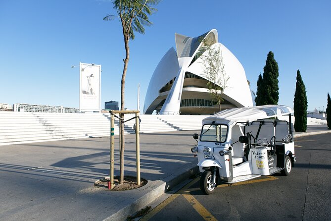 Valencia Complete Tour by Tuk Tuk - Rococo palace, a standout ceramics museum, and a neoclassical bullring