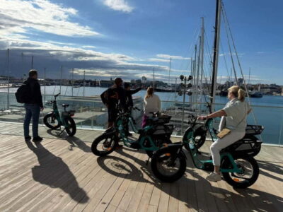 E-bike Tour, Beaches, & City of Arts and Sciences