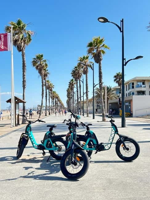 Valencia: E-bike Tour, Beaches, & City of Arts and Sciences - La Marina de València and the coast-meets-city scenes