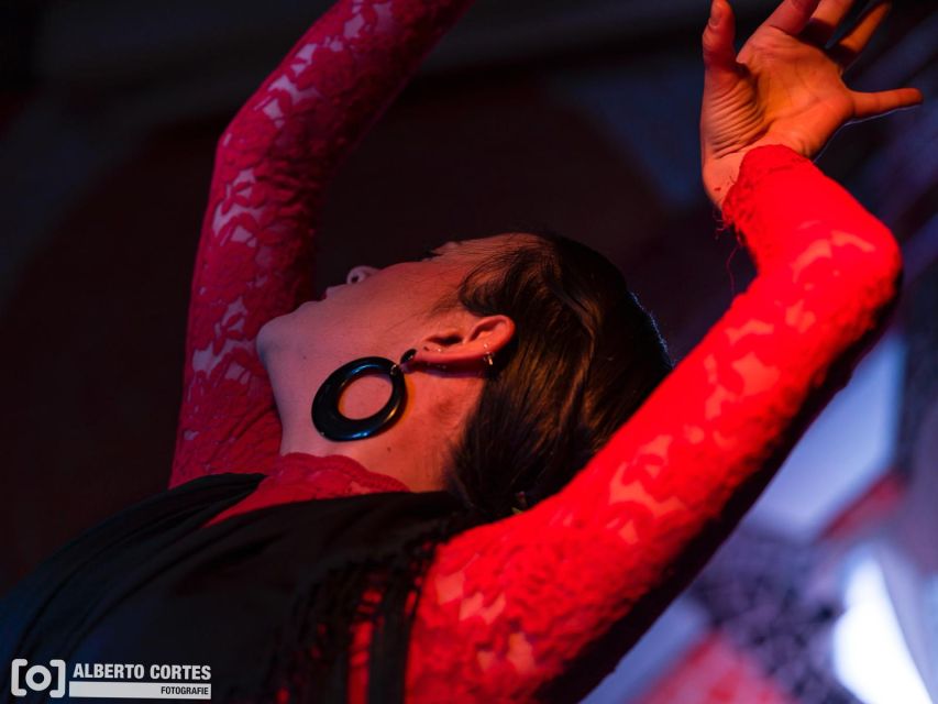 Valencia: Flamenco at Toro y La Luna with optional Dinner - Key Things You Should Know Before You Go