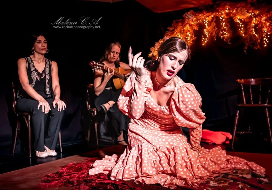 Valencia: Flamenco Show at Tablao La Reina - Tablao La Reina, Right by Plaza de la Reina