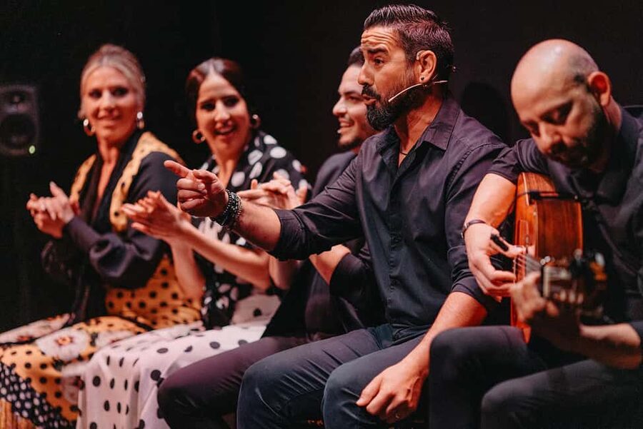 Valencia: Flamenco Show with Dinner at La Bulería - Choosing Premium vs VIP Excellence: What the Extra Buys