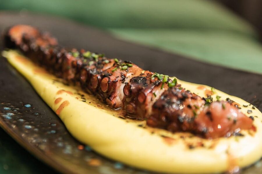 Valencia: Gourmet Food & Wine Tour - What to eat with your schedule, before and after