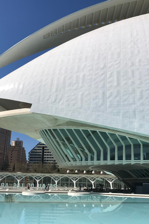 Valencia: Grand City Bike Tour on Bicycle, E-Bike or E-Step - Key Highlights You Will Actually Feel on the Ride
