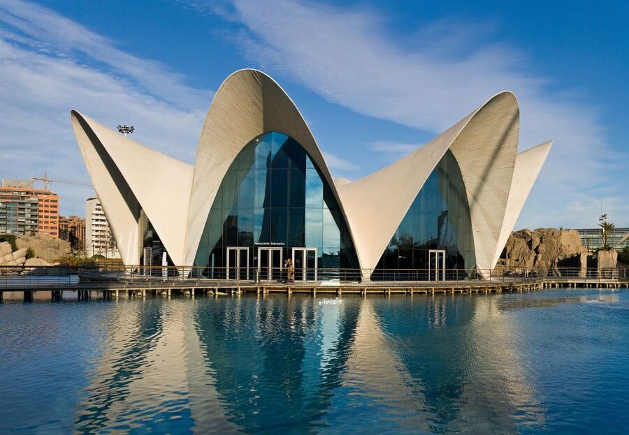 Valencia: Guided City Walking Tour with Tapas Tastings - Why $161 feels like a fair deal for a guided center walk