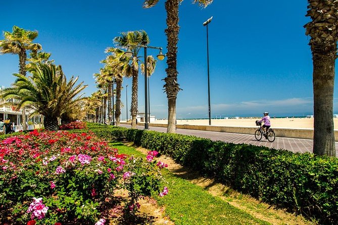 Valencia Highlights with Private Vehicle (Private Tour) - The shopping street detour: bullring and train station details you might miss