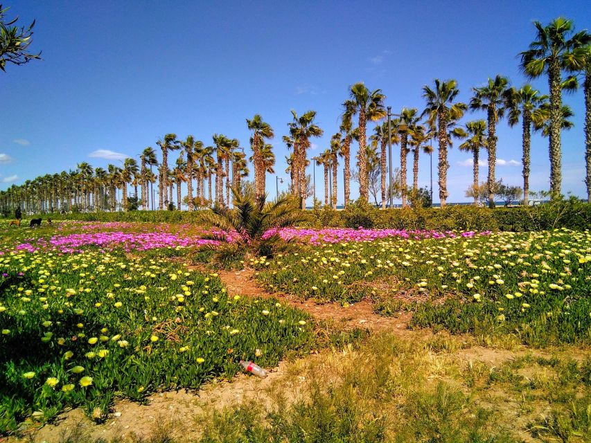 Valencia: Horchata Bike Tour - Into the huerta del norte: farmland crops, breeze, and a typical farmhouse stop