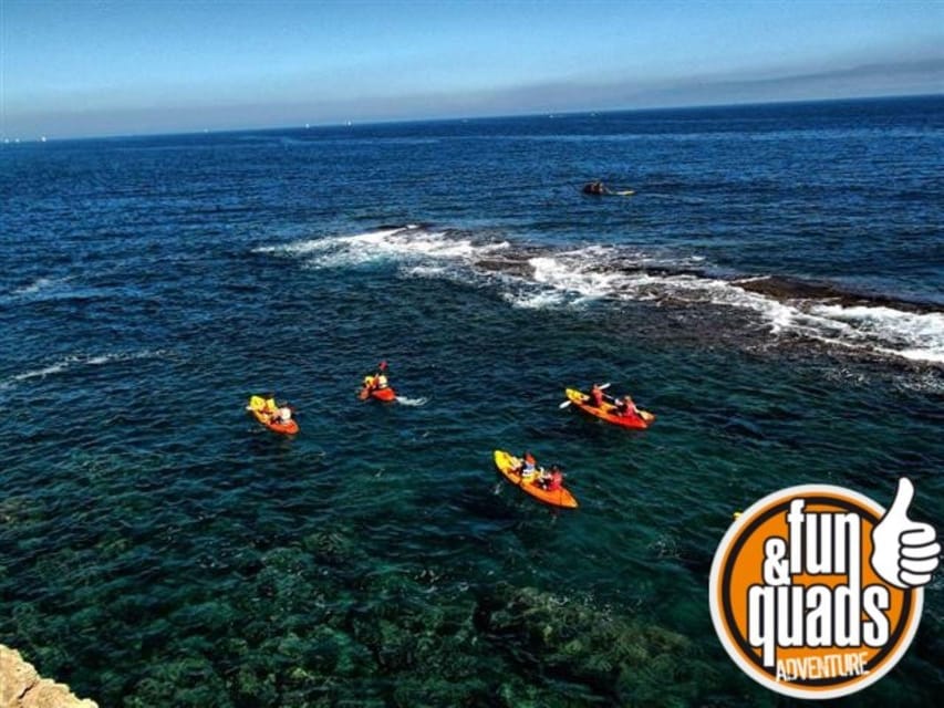 Valencia: Kayak Excursion - Who this kayak trip fits best