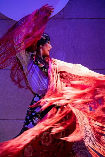 Valencia: La Linterna Flamenco Show - Key points before you go