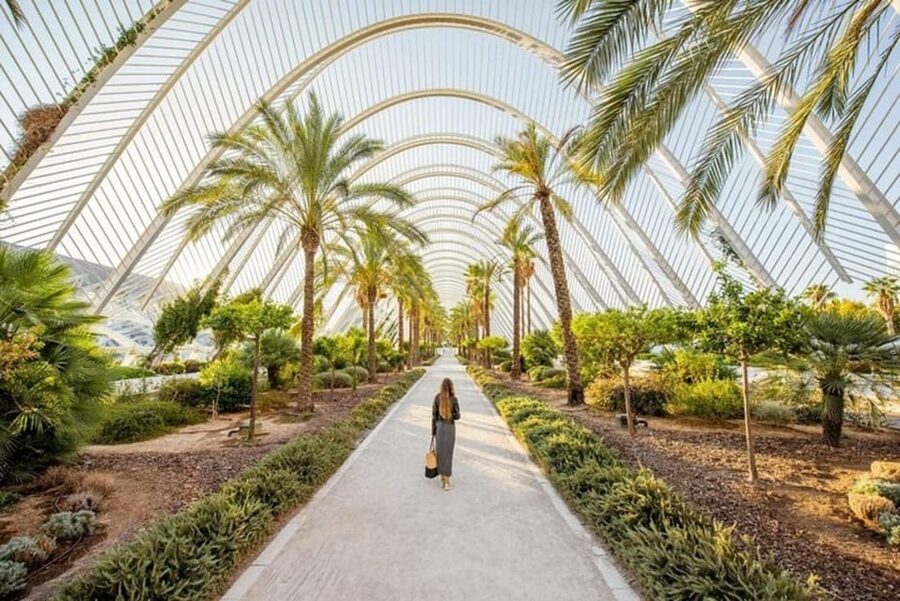 Valencia: Must-See Attractions Walking Tour - Central Market of Valencia: quick orientation with a guide’s eye