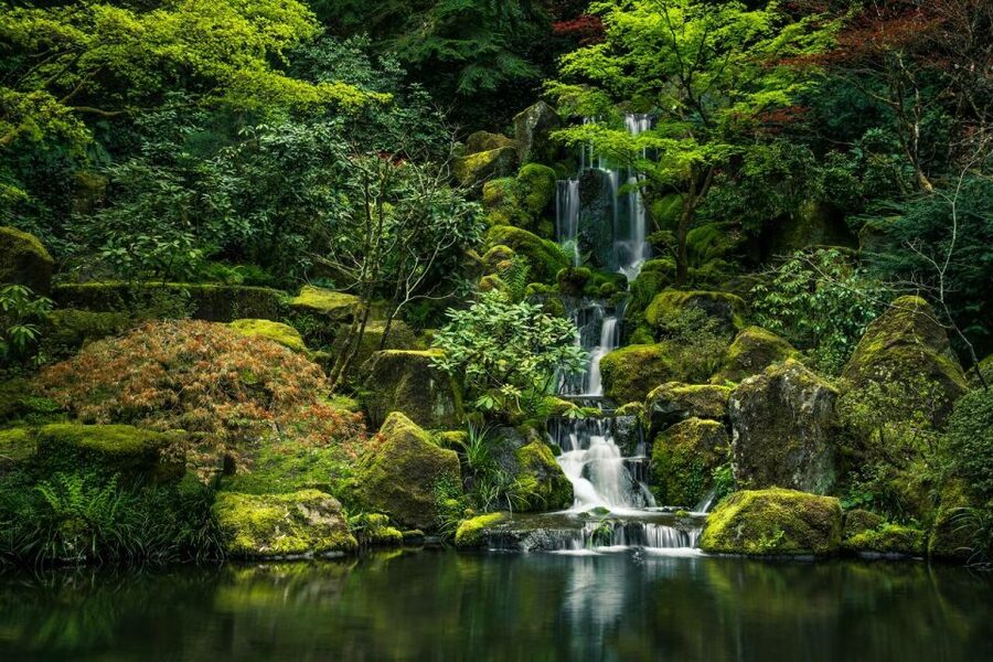 Valencia Natural Wonders: Exploring the Top 4 Waterfalls - Why this Valencia waterfall circuit feels like a mini escape