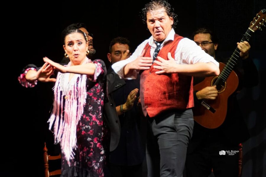 Valencia: New Flamenco Show in the Most Emblematic Theater of the City - What you will actually see: baile, cante, toque, and percussion