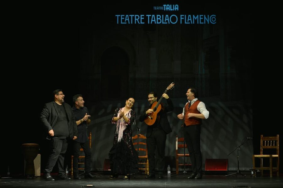 Valencia: New Flamenco Show in the Most Emblematic Theater of the City - Tickets and price: is $23 worth it for an hour?