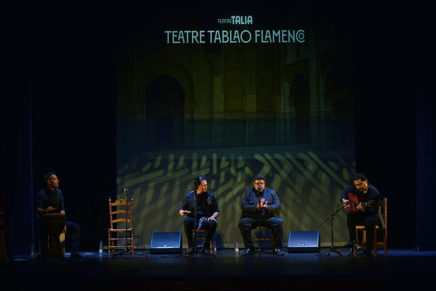Valencia: New Flamenco Show in the Most Emblematic Theater of the City - The real atmosphere: small theater feel, big energy
