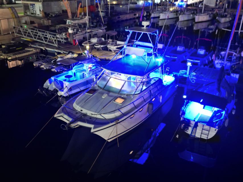 Valencia: Night Cruise with Free Drink - Who Should Book This Valencia Night Cruise (and Who Might Skip It)