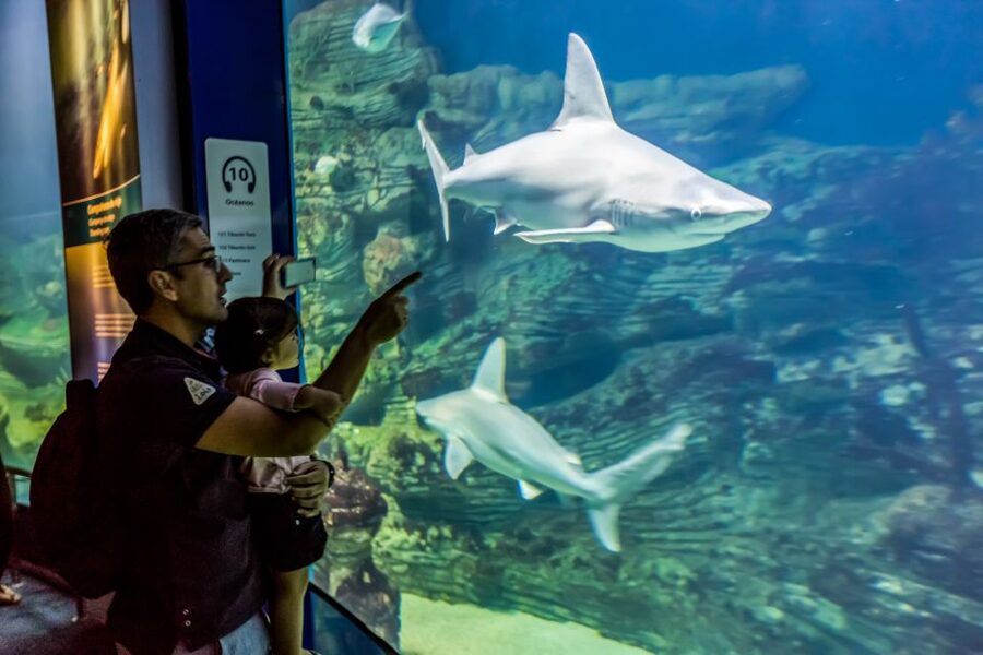 Valencia: Oceanogràfic Entry Ticket - Key things to know before you go