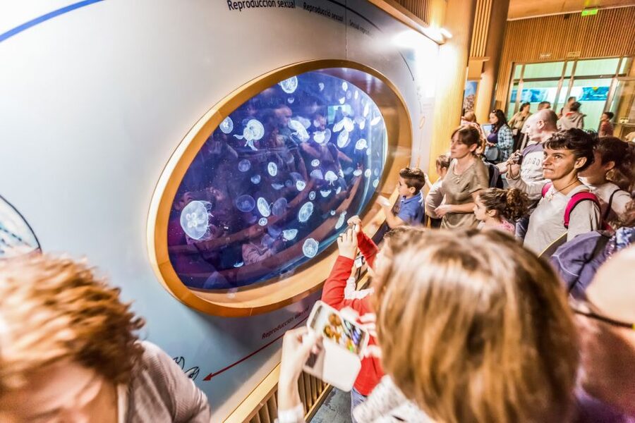 Valencia: Oceanogràfic Entry Ticket - Opening hours in Valencia: when you should aim for your slot