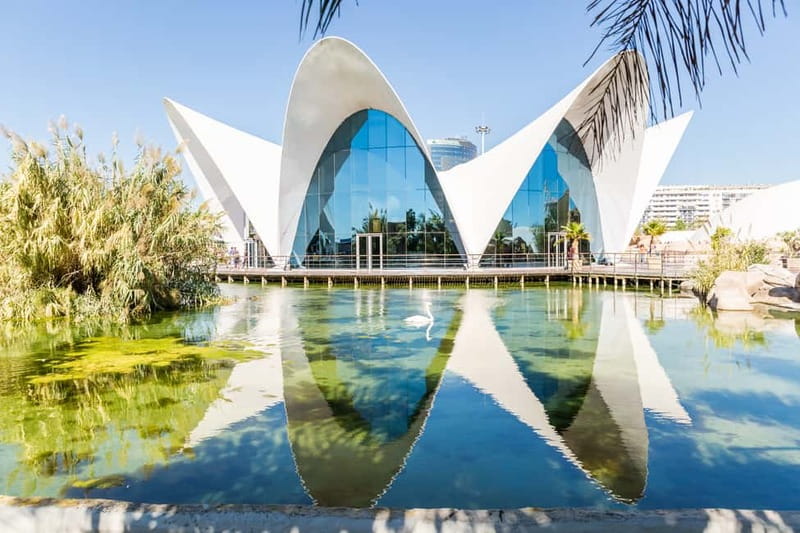 Valencia: Oceanogràfic, Hemisfèric & Science Museum Combo - A Smart One-Day Plan for Oceanogràfic Plus Science Museum Plus Hemisfèric