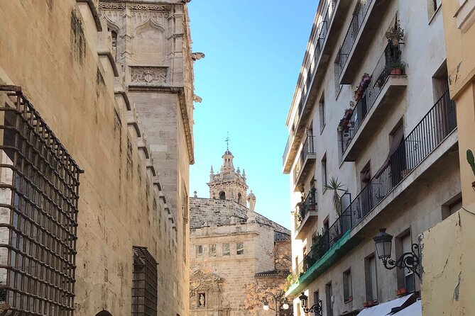 Valencia Old Town Private Tour by Bike or Electric Ride - La Lonja de la Seda and the Old City’s stone personality