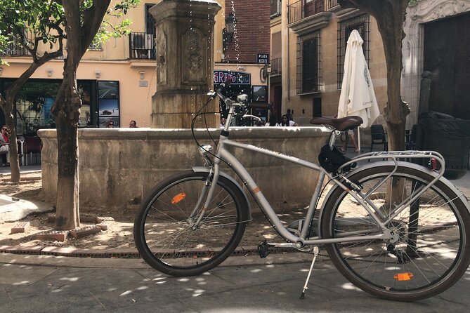 Valencia Old Town Private Tour by Bike or Electric Ride - Guide style, comfort, and names you can look for