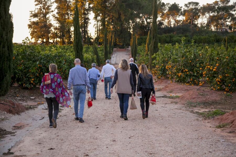 Valencia: Orange Farm and Orchard Trip with Tastings - How the 2-hour schedule feels, from groves to warehouse to tastings