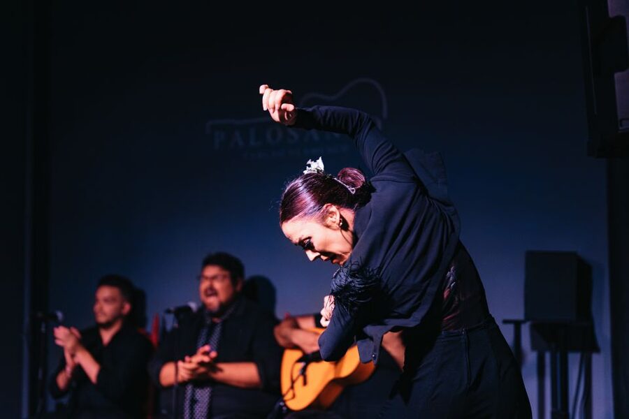 Valencia: Palosanto Flamenco Show Ticket - Where Palosanto Tablao Fits Into Valencia (And Why Cabañal Is a Smart Choice)