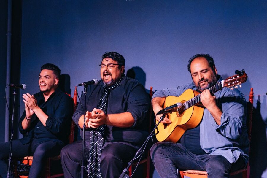 Valencia: Palosanto Flamenco Show Ticket - What the Show Is Really Like: Tablao Intensity, Cante Jondo, and Guitar Fire