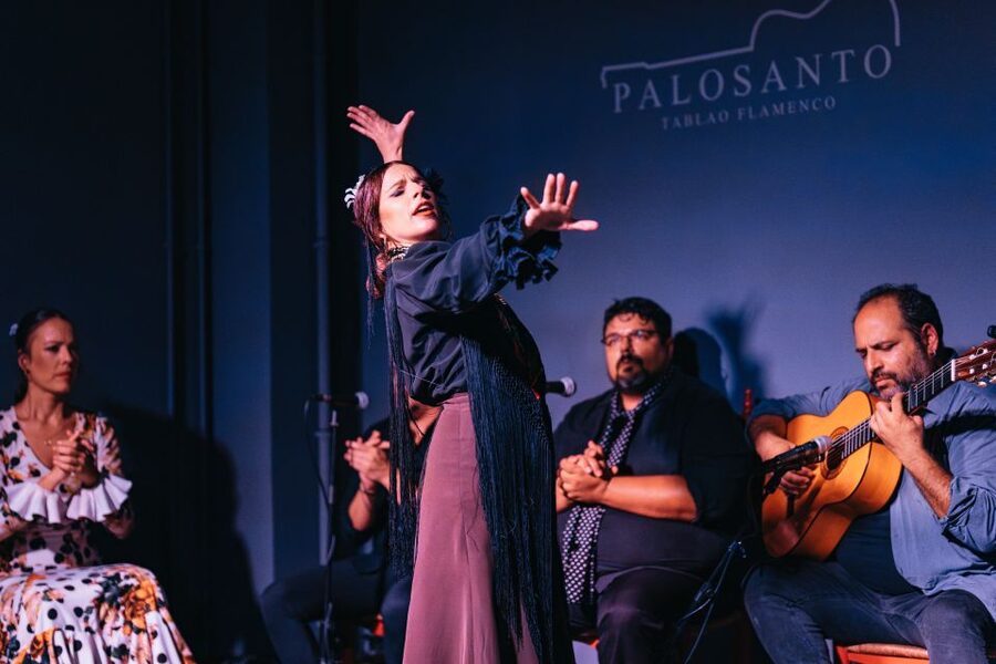 Valencia: Palosanto Flamenco Show Ticket - Price and Value: Is $25 a Good Deal for Live Flamenco?