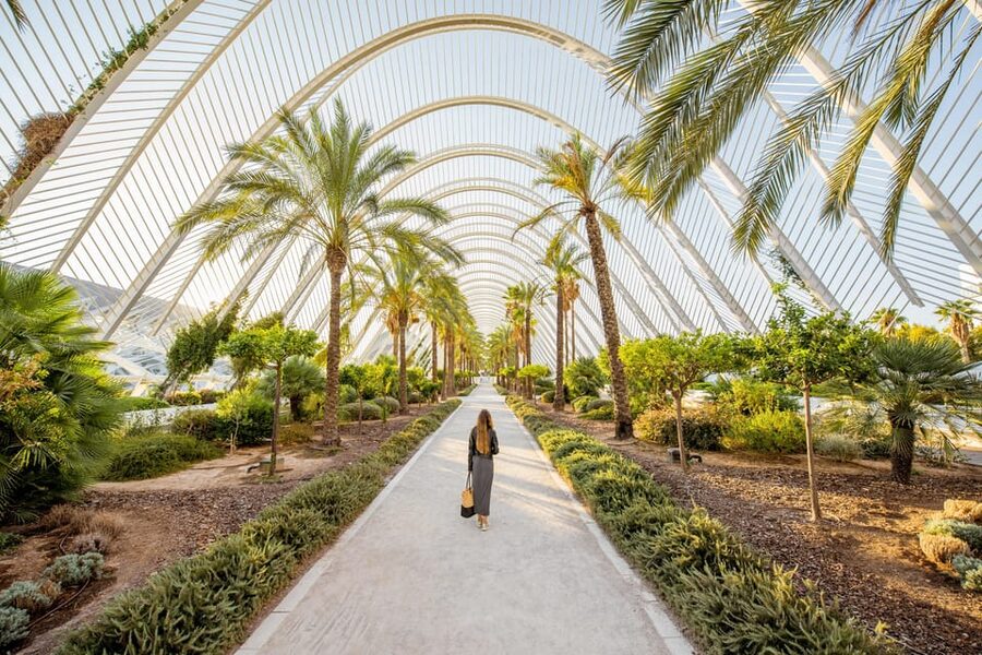 Valencia: Private Brunch Tour with Basic Spanish Learning - Price and value for a 3-hour talk and taste walk